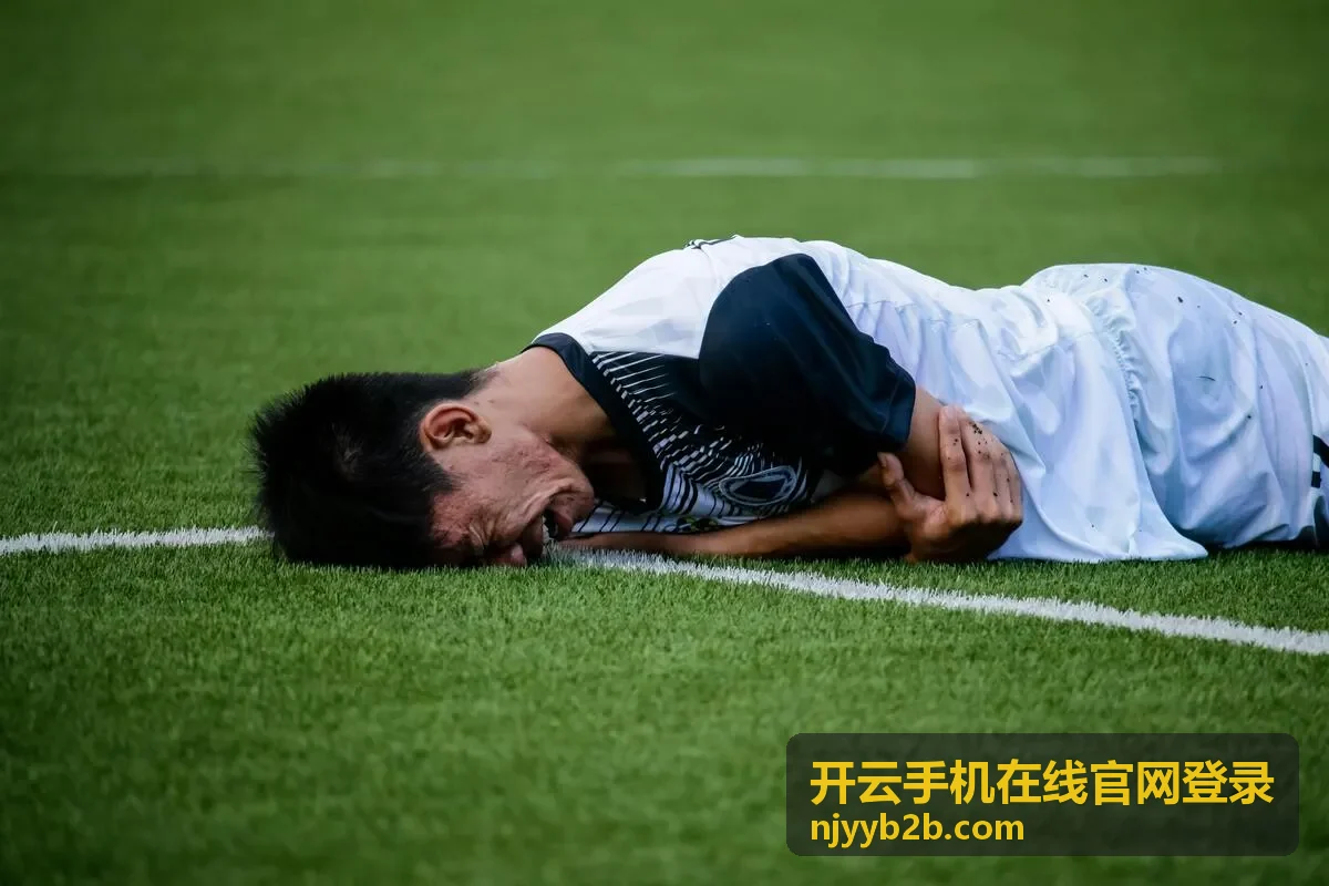 开云手机在线官网登录账号安全设置界面示意