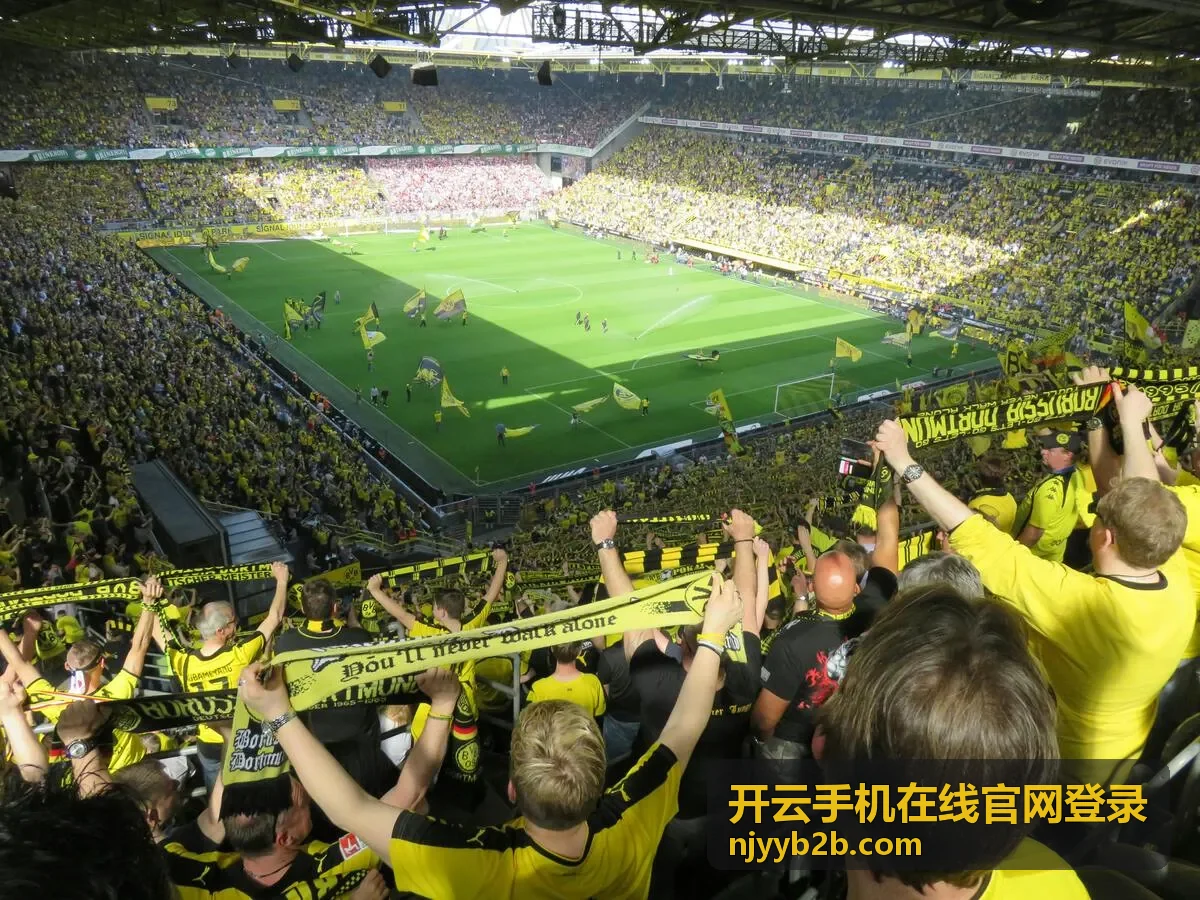 开云手机在线官网登录移动端入口界面区域示意